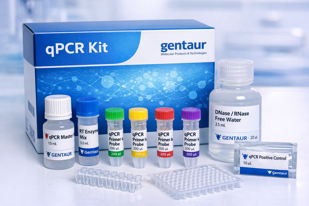 REAL-Detect Echovirus 11 RT-qPCR kit