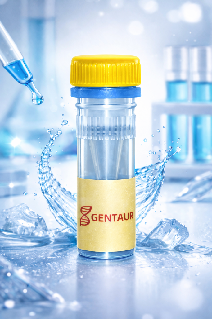 Murine RNase Inhibitor