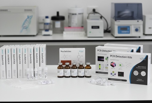[P0059] FastPANGEA Long PCR DNA Polymerase