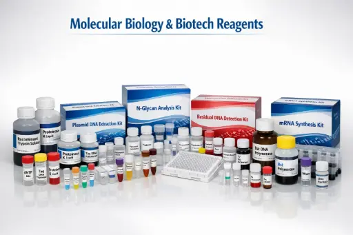 [HBP003201-2-1] HEK293 Residual DNA Detection kit