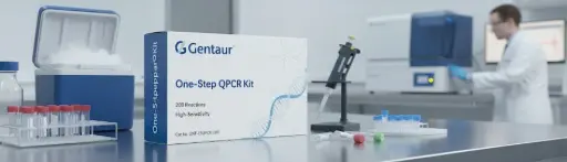 [E0537] qMAXSen™ Green qPCR MasterMix (Low ROX™)